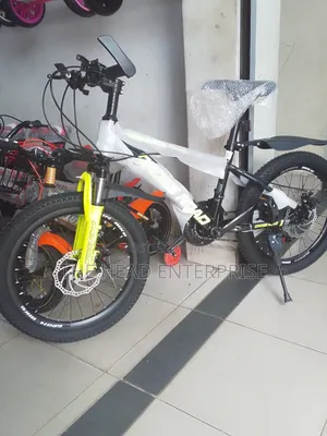 Size 20 Bike Top Quality With Gears