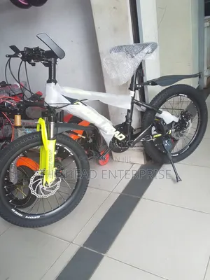 Best Sporting Size 20 Bike With Gears for Kids to Teenager