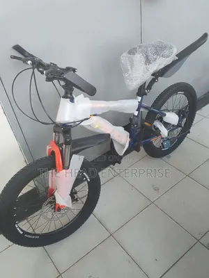 Size 20 Kids Bike With Gears on Both Hands
