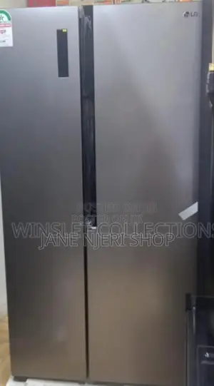 519l Lg Side by Side Fridge