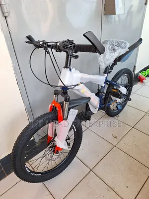 Brand New Teenager to Kids Geared Bike