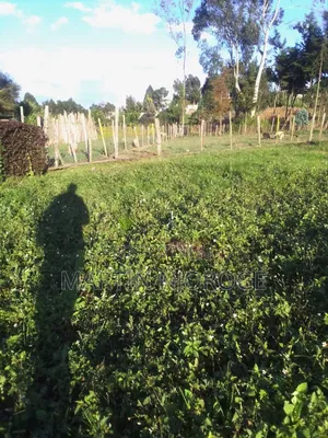 1 Acre Ngarariga