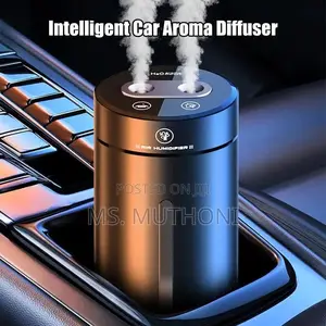 Vehicle Air Humidifier / Mist Sprayer