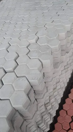 Cabro Paving Blocks 60mm