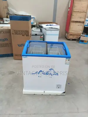 Ecomax Display Freezer