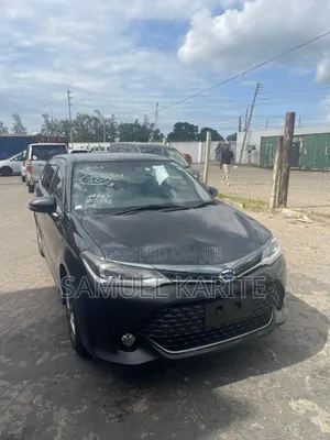 Toyota Corolla Fielder 2018 Black