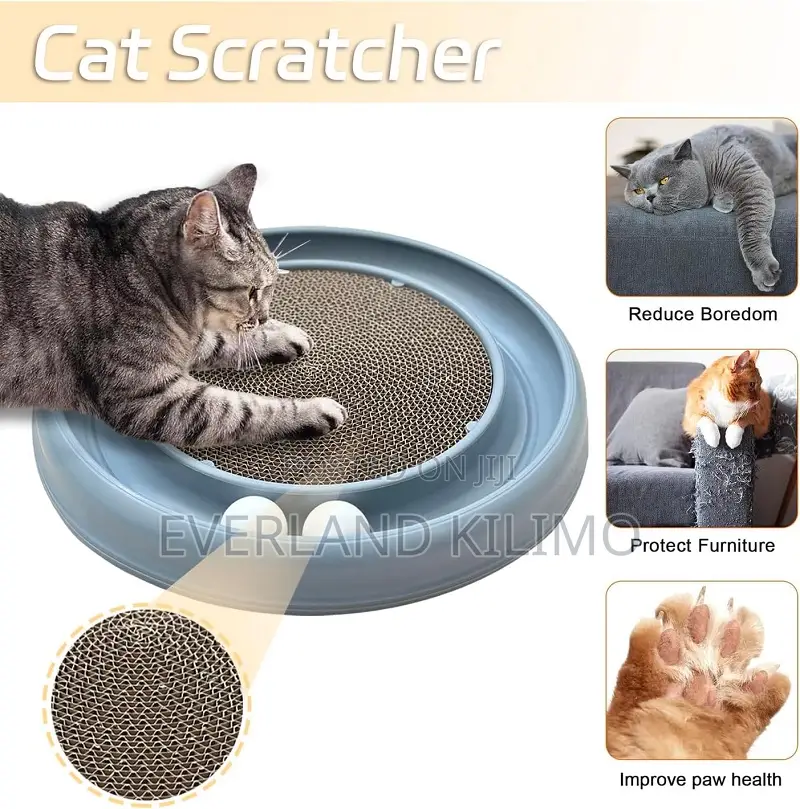 Cat Ball Track and Cat Scratcher.