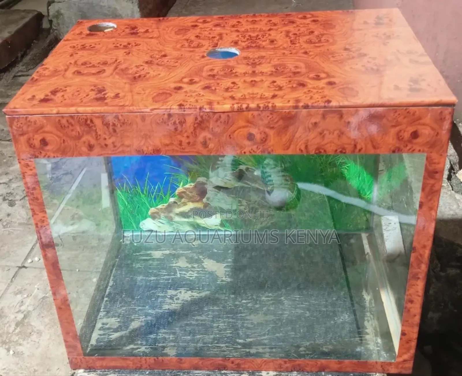 Brown Aquarium