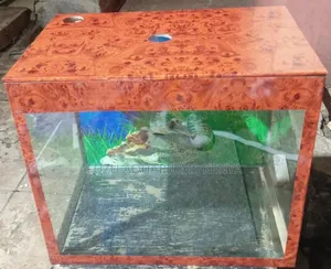 Brown Aquarium