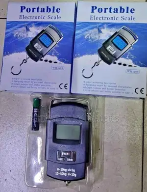 Electronic Weigh Scale