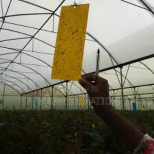 Greenhouse Covers With High Light Transmission
