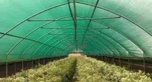 Protect Your Crops With Advanced Greenhouse Covers
