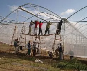 Innovative Greenhouse Films For Sustainable Farming
