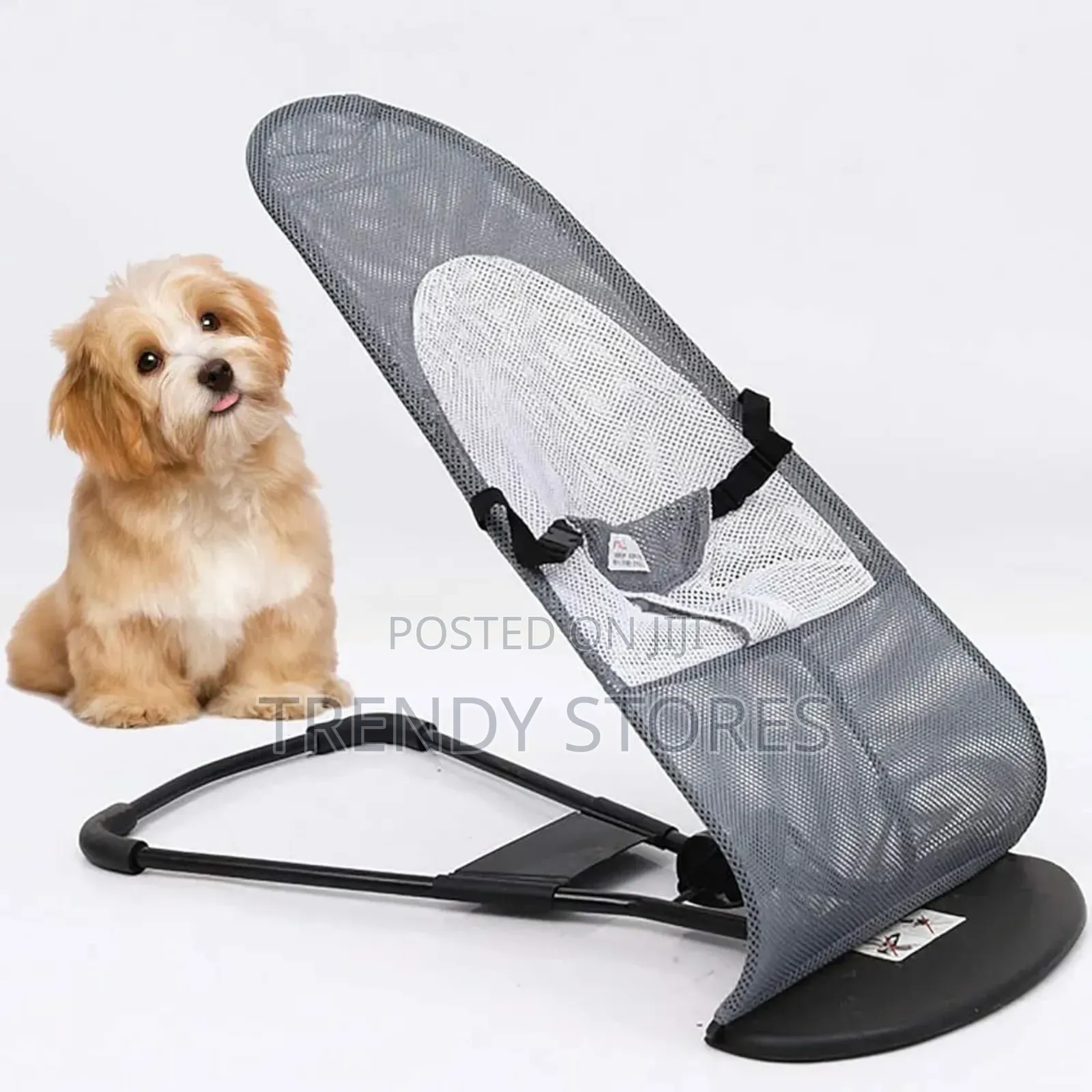 Pet Rocker