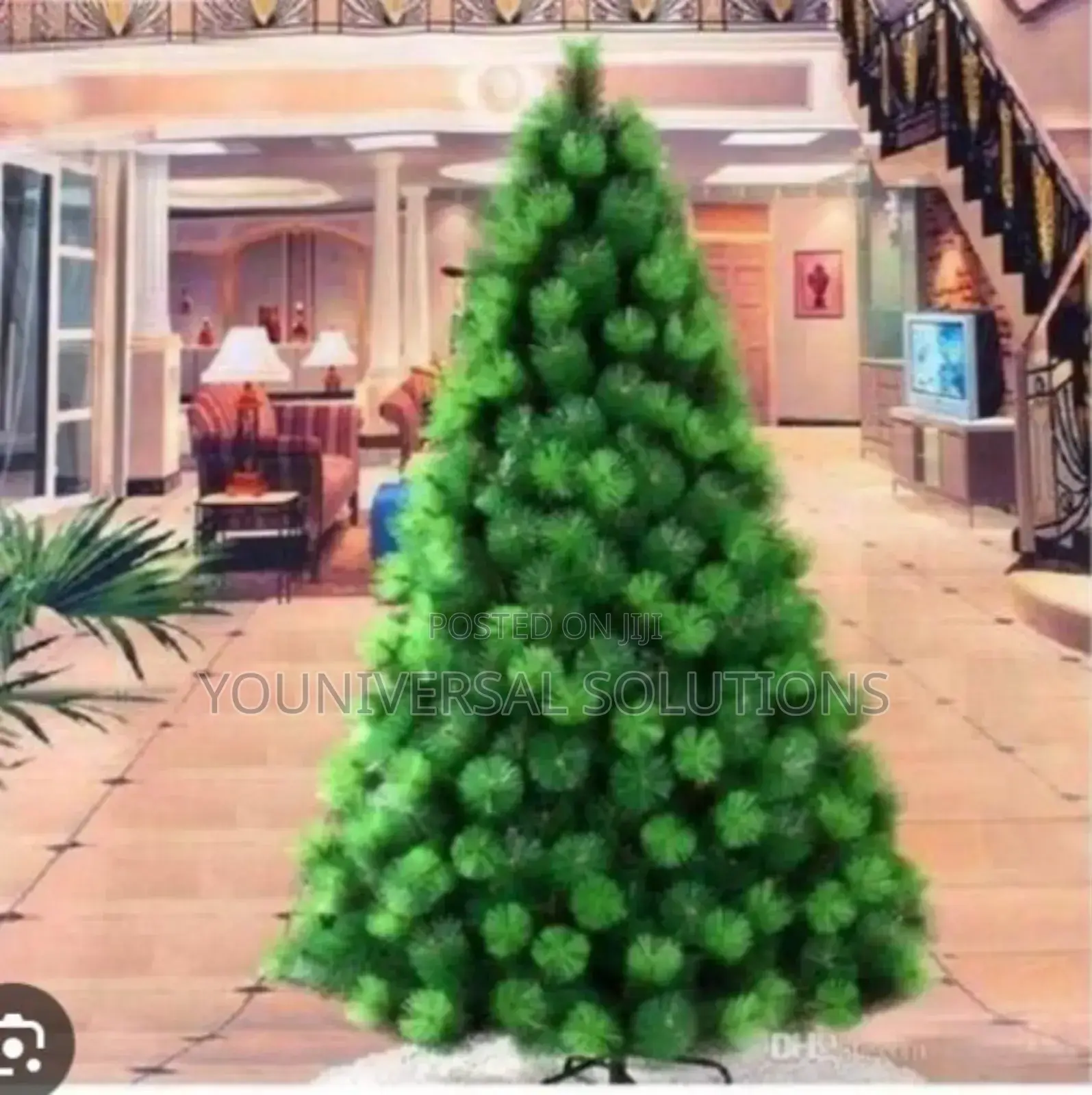 *Christmas Trees*