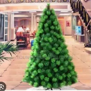 *Christmas Trees*