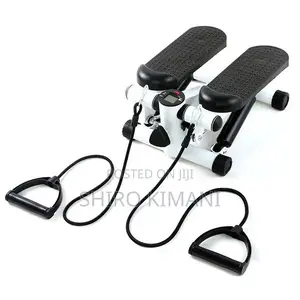 Workout Mini Stepper