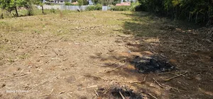 Prime 1⁄4 Acre Plot For Sale In Outspan Dc In Eldoret