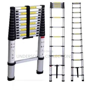 Uni-Silent Multi-Purpose Telescopic Ladders.