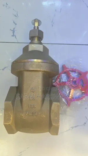 Peglar Gate Valve 2"