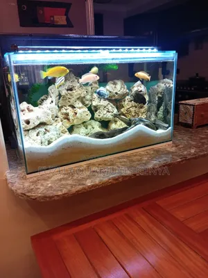Quality Customized Small Aquarium