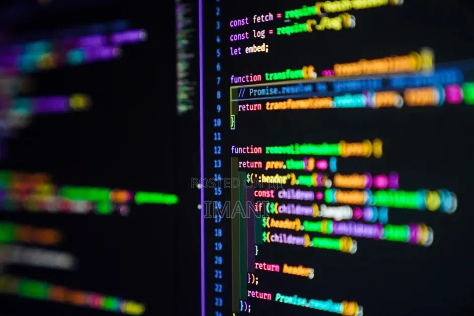 Web/Software/App Developer