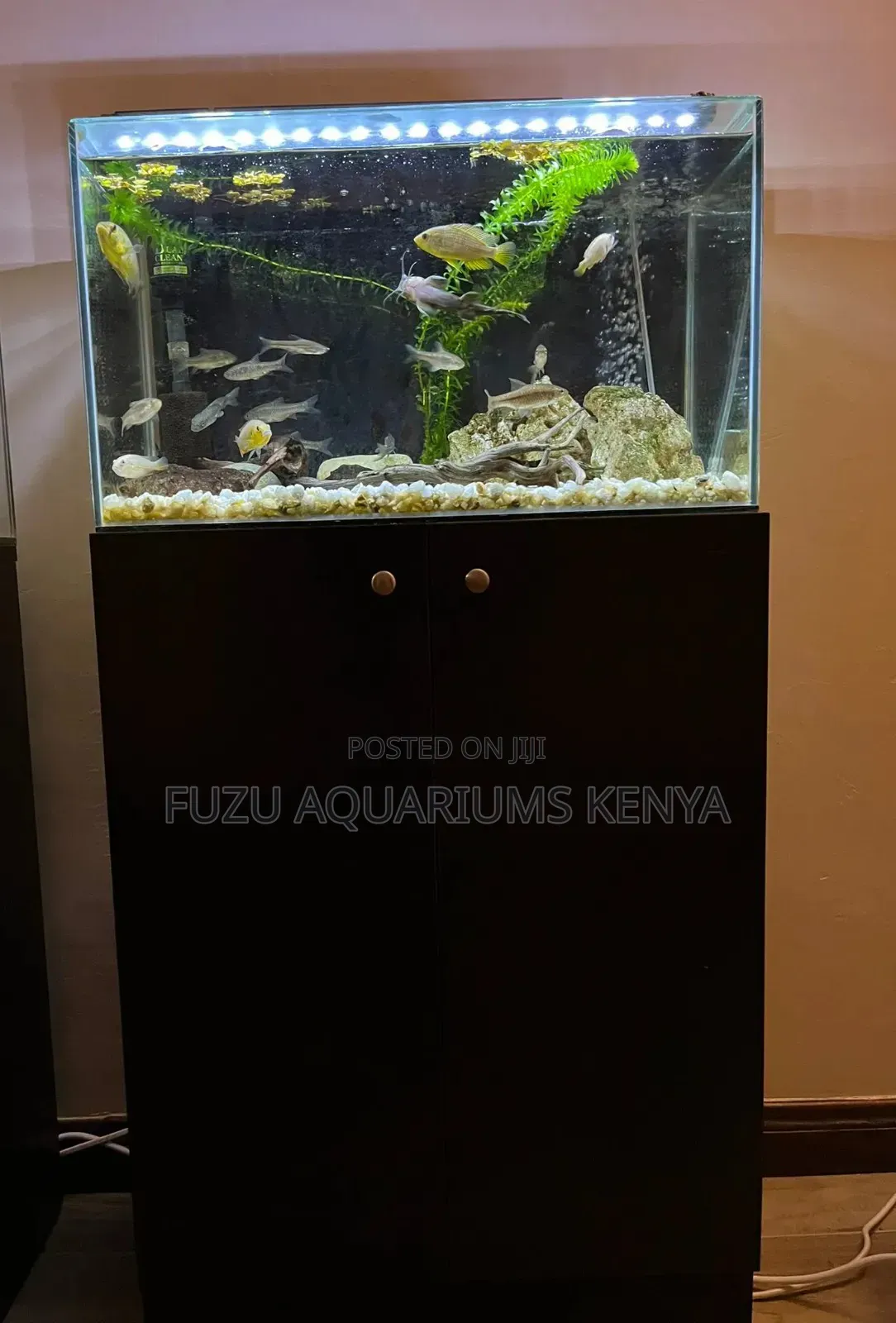 Super Aquarium With Its Stand
