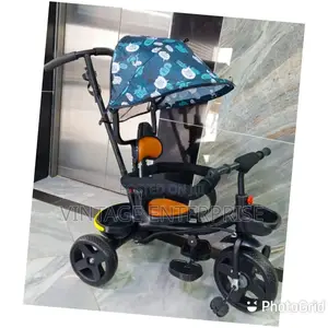 Push Tricycle With Canopy
