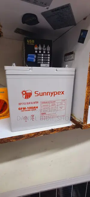 Sunnypex 100ah 12v Solar // Car Battery