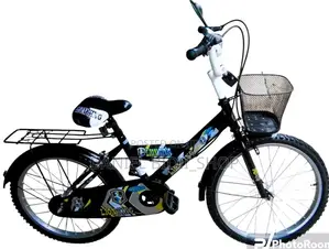 Lion King Size 20 Bicycle