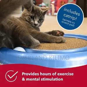 Cat Scratching Pad - Claw Grooming, a Ball Bag of Catnip,