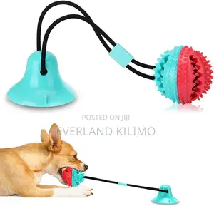 Treat Ball With Suction Cup