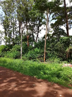 Thindigua Prime 2.25 Acres