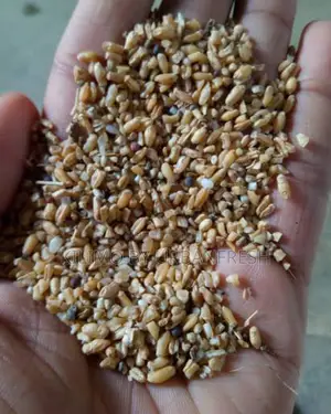Broken Wheat for Animal Feed 25kg
