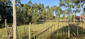 Prime 1⁄2 Acre Plot For Sale In Kipkorgot Eldoret