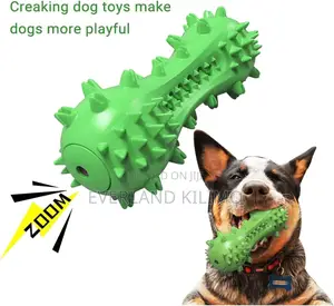 Squeaky Rubber Chew Bone Toy
