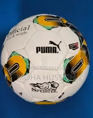 Puma Sports Soccer Footballs
