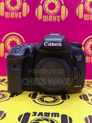Canon 7D Mark Ii With Extra Battery and Bag