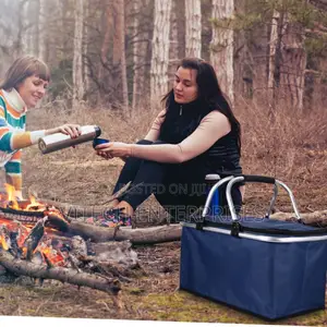 Picnic Foldable Insulated Bag