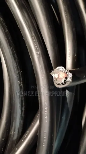 Armoured Cable 16 Mm 2 Core Copper WST