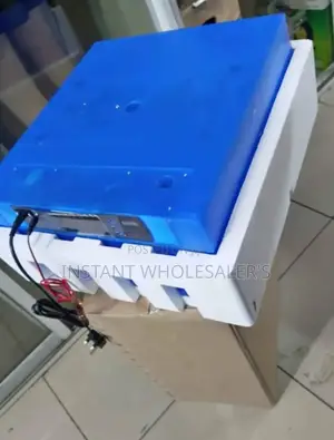 Egg Incubator 64 Eggs