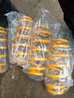 Nissan X Trail New Model Rear New Coil Springs