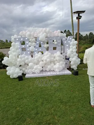 Gender Reveal Decor Set Up