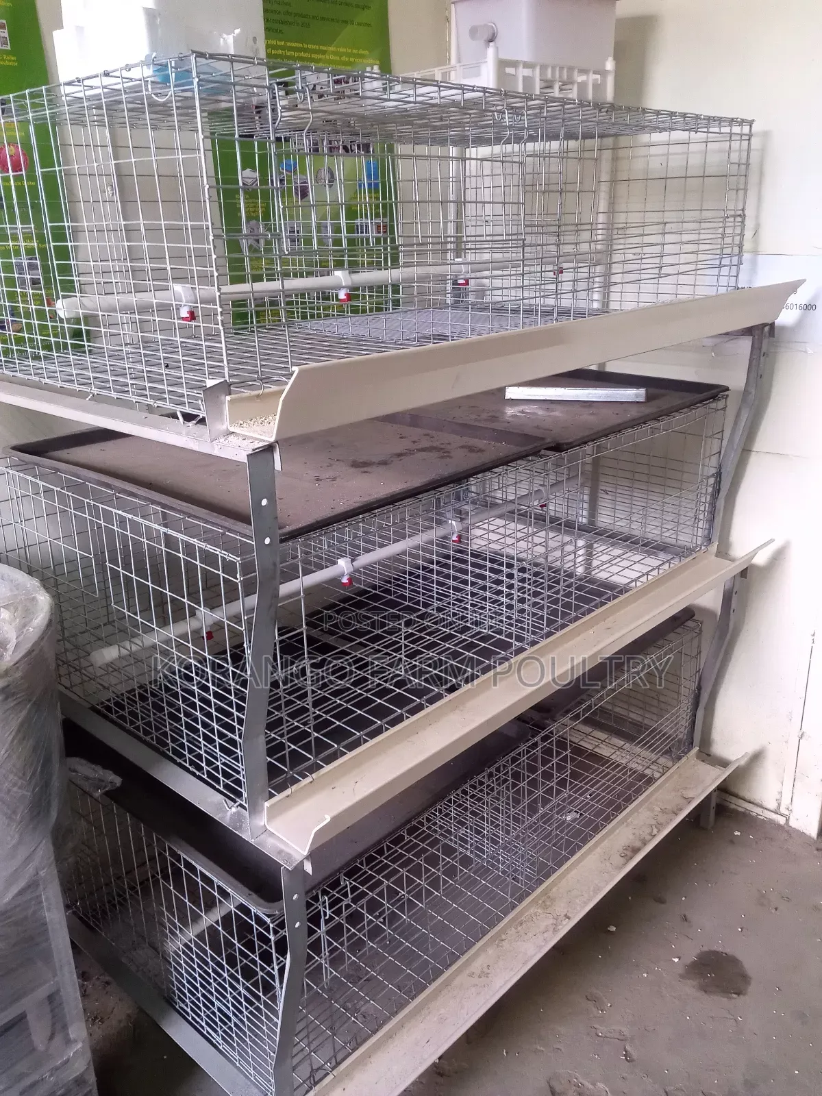 Broiler Cage