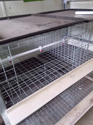 Broiler Cage