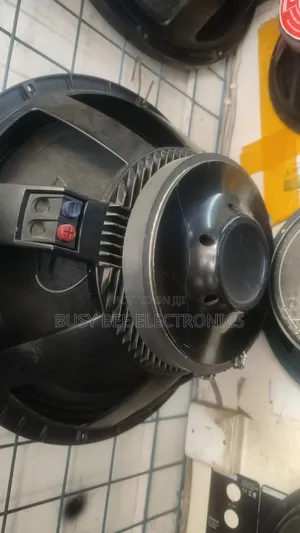 Single Coil RCF Bass Speaker