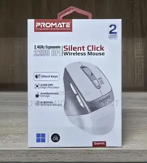 2.4ghz Ergonomic 2200 DPI Silent Click Wireless Mouse