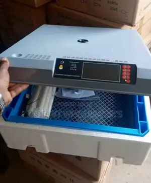 Egg Automatic Incubators 64 Eggs