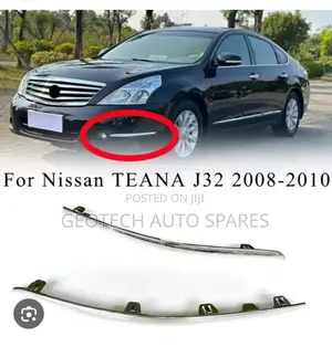 Nissan Teana Chrome Body Moulding