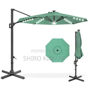 Parasol Green Colour Canvas